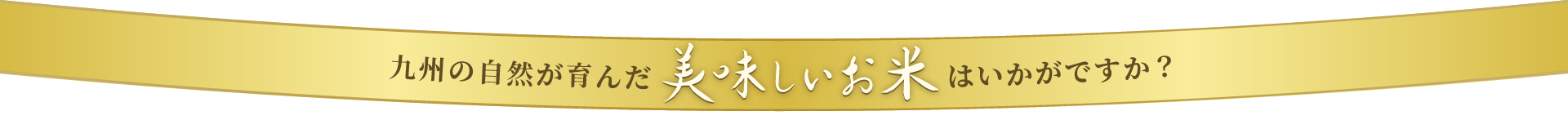 九州の自然が育んだ美味しいお米はいかがですか？